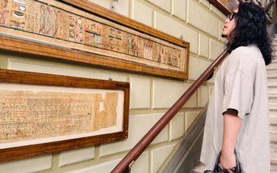 【人に継ぐな、判断を構造に継げ】